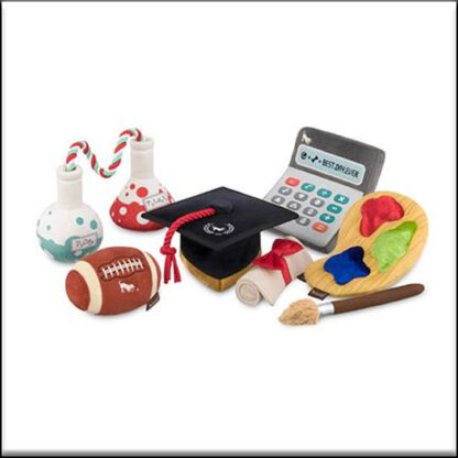 Back to School 5-pc Set