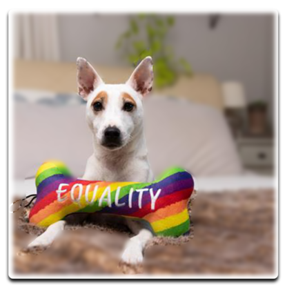 Equality Bone Dog Toy